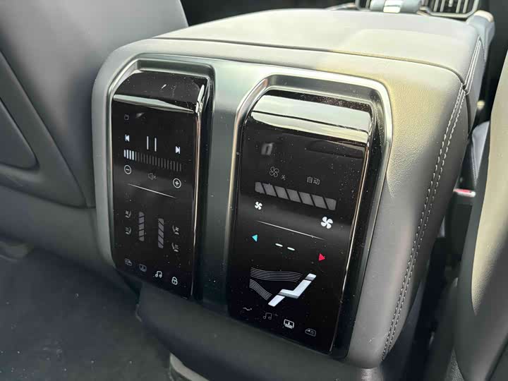 BYD FangChengBao Leopard 8, 2024 — фото 9 из 9