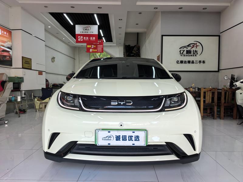 BYD Dolphin, 2024 — фото 2 из 12