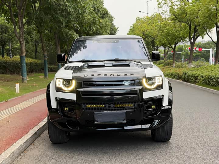Land Rover Defender, 2022 — фото 2 из 9