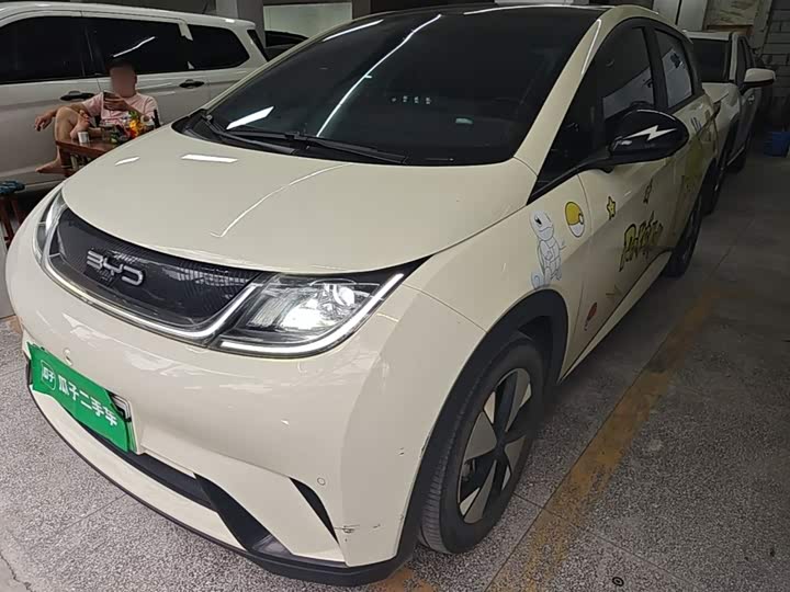 BYD Dolphin, 2023 — купить в Тамбове под ключ