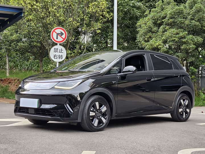 BYD Dolphin, 2025 — купить в Ульяновске под ключ