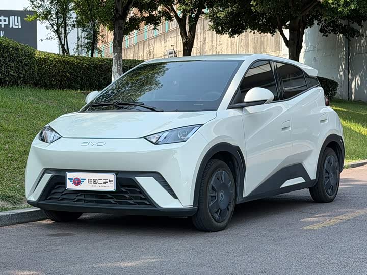 BYD Seagull, 2024 — купить в Туле под ключ