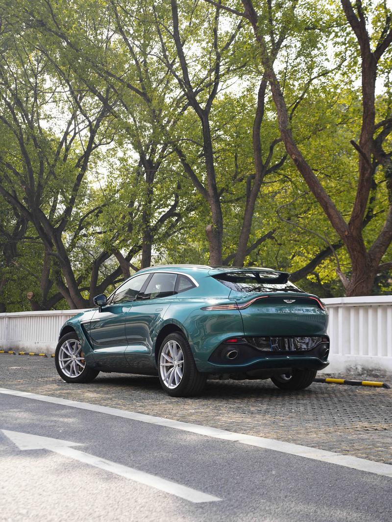 Aston Martin DBX, 2023 — фото 4 из 10