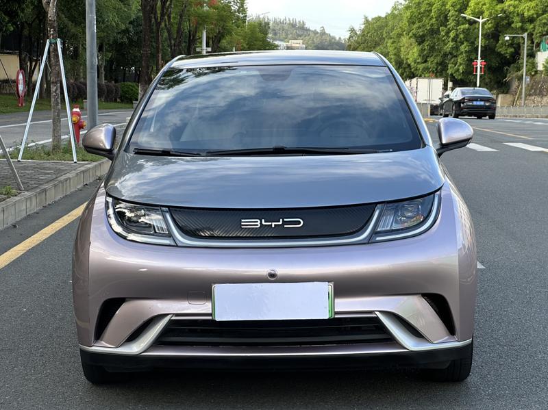 BYD Dolphin, 2021 — фото 2 из 12