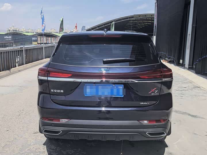 Changan Oshan X7 Plus, 2023 — фото 5 из 9