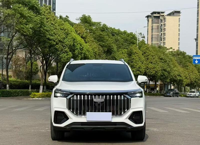 Geely Okavango L, 2023 — фото 2 из 10