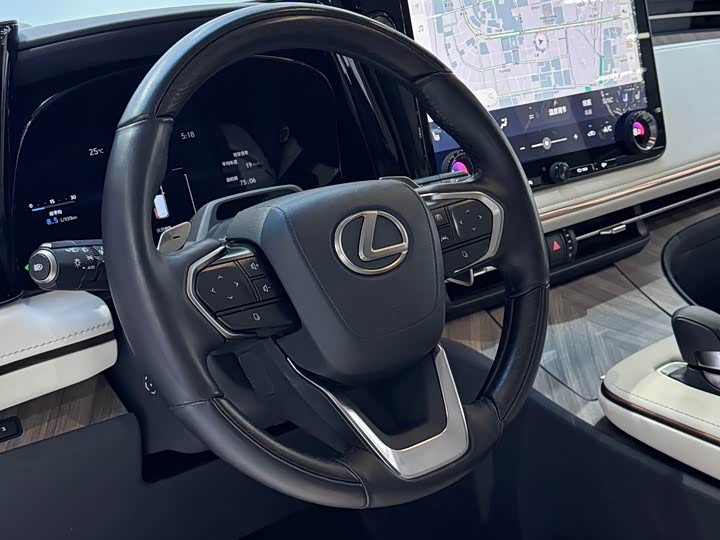 Lexus LM, 2023 — фото 9 из 9