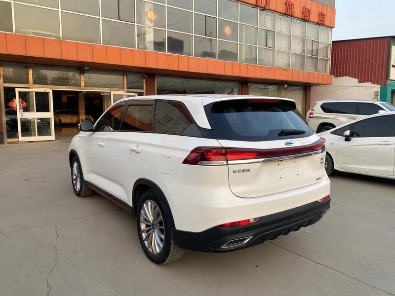 Changan Oshan X7 Plus, 2023 — фото 4 из 10