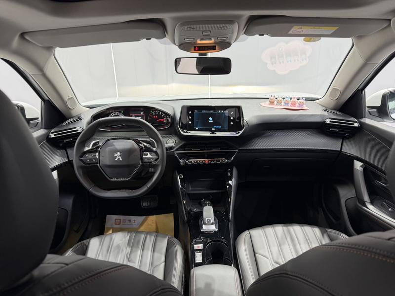 Peugeot 2008, 2023 — фото 9 из 12