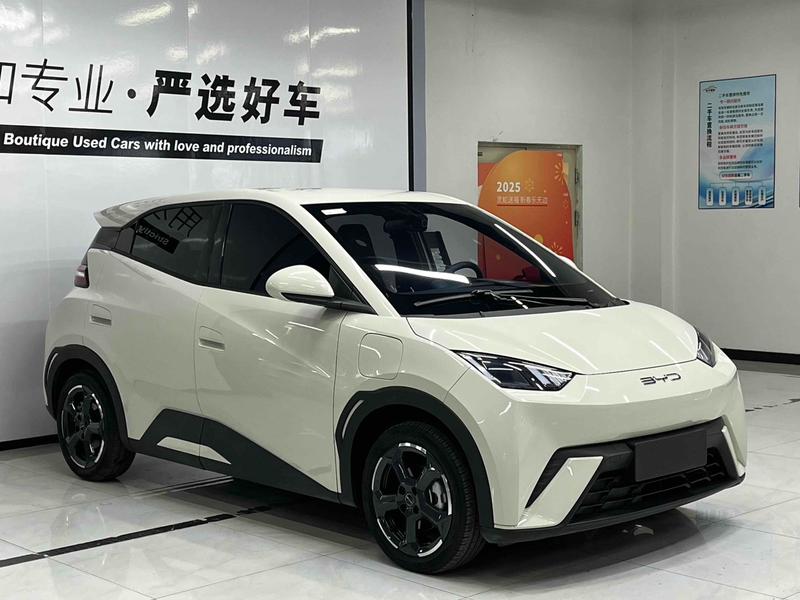 BYD Seagull, 2023 — фото 3 из 11