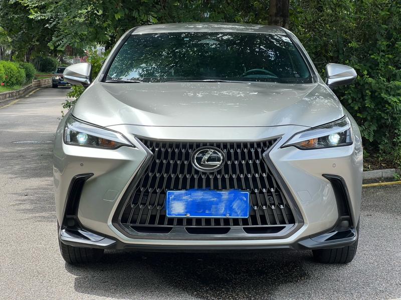 Lexus NX, 2022 — фото 2 из 12