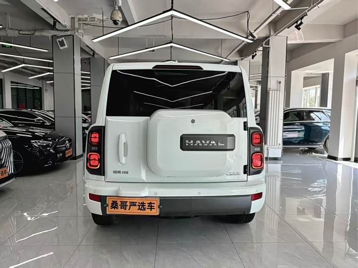 Haval H9, 2024 — фото 3 из 9