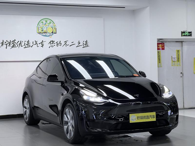 Tesla Model Y, 2022 — фото 3 из 12
