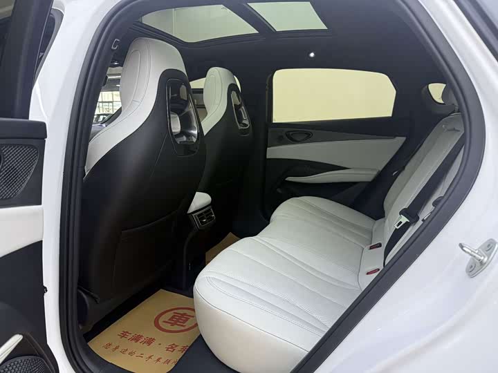 BYD Seal 06 Hybrid/EV, 2025 — фото 6 из 9