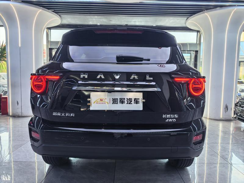 Haval H-Dog, 2023 — фото 5 из 12