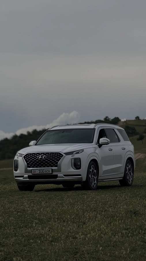 Hyundai Palisade, 2021 — фото 2 из 12