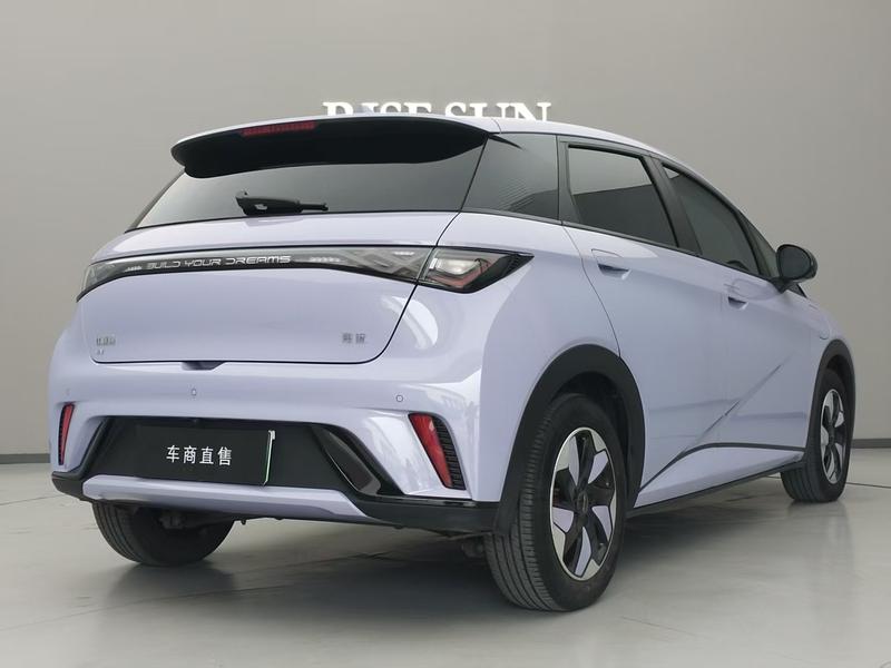 BYD Dolphin, 2024 — фото 7 из 12