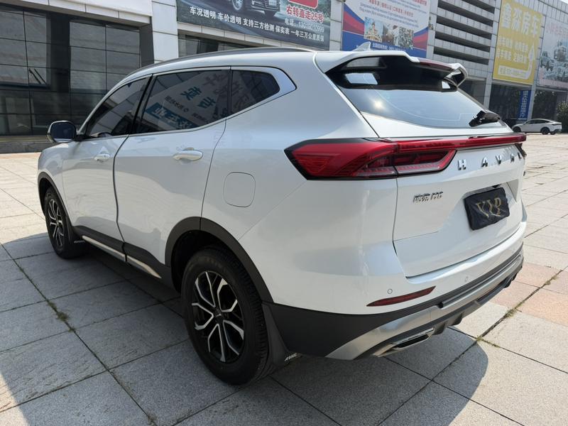 Haval H6, 2023 — фото 4 из 12