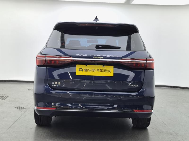 BYD Song Max Hybrid, 2023 — фото 6 из 12