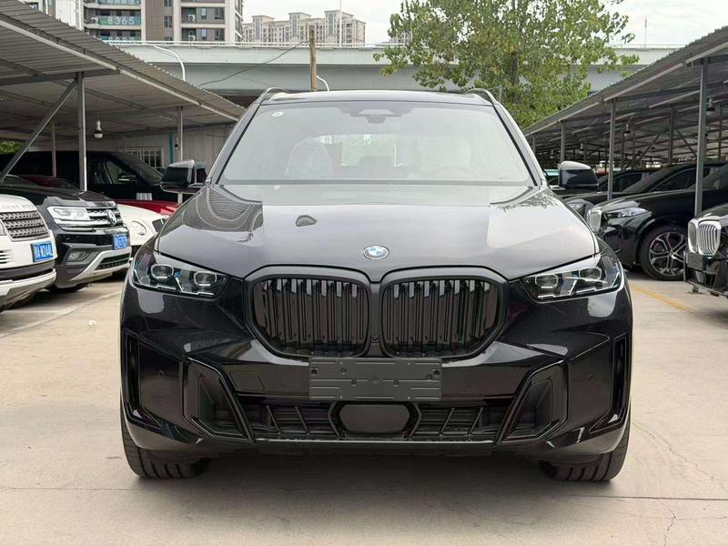 BMW X5, 2026 — фото 2 из 12