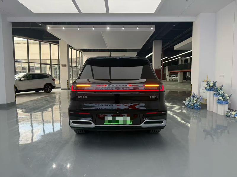 Geely Galaxy M9, 2025 — фото 5 из 11