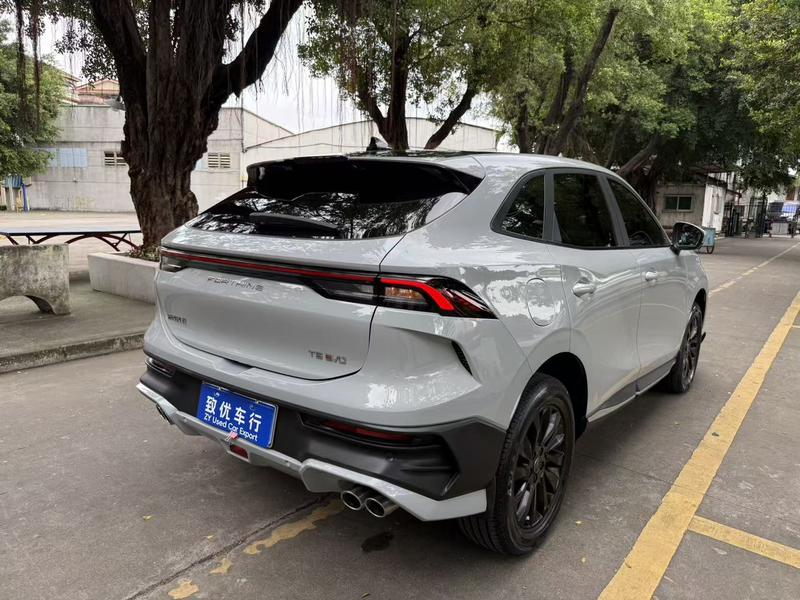 Dongfeng Forthing T5 EVO, 2023 — фото 5 из 12
