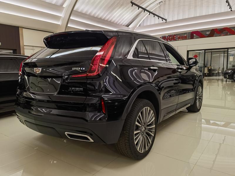 Cadillac XT4, 2025 — фото 4 из 11