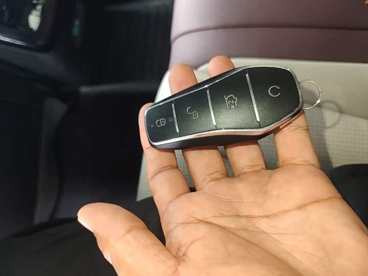 BYD Seal 07 DM-i Hybrid, 2025 — фото 9 из 9