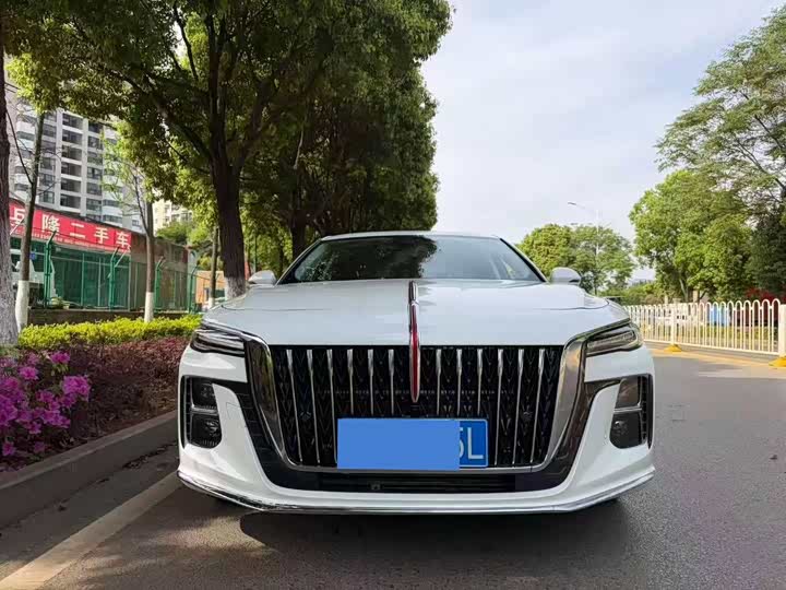 Hongqi H5, 2024 — фото 2 из 9