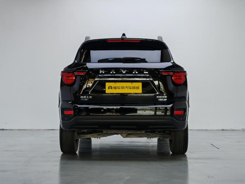 Haval H-Dog Hybrid, 2023 — фото 6 из 12