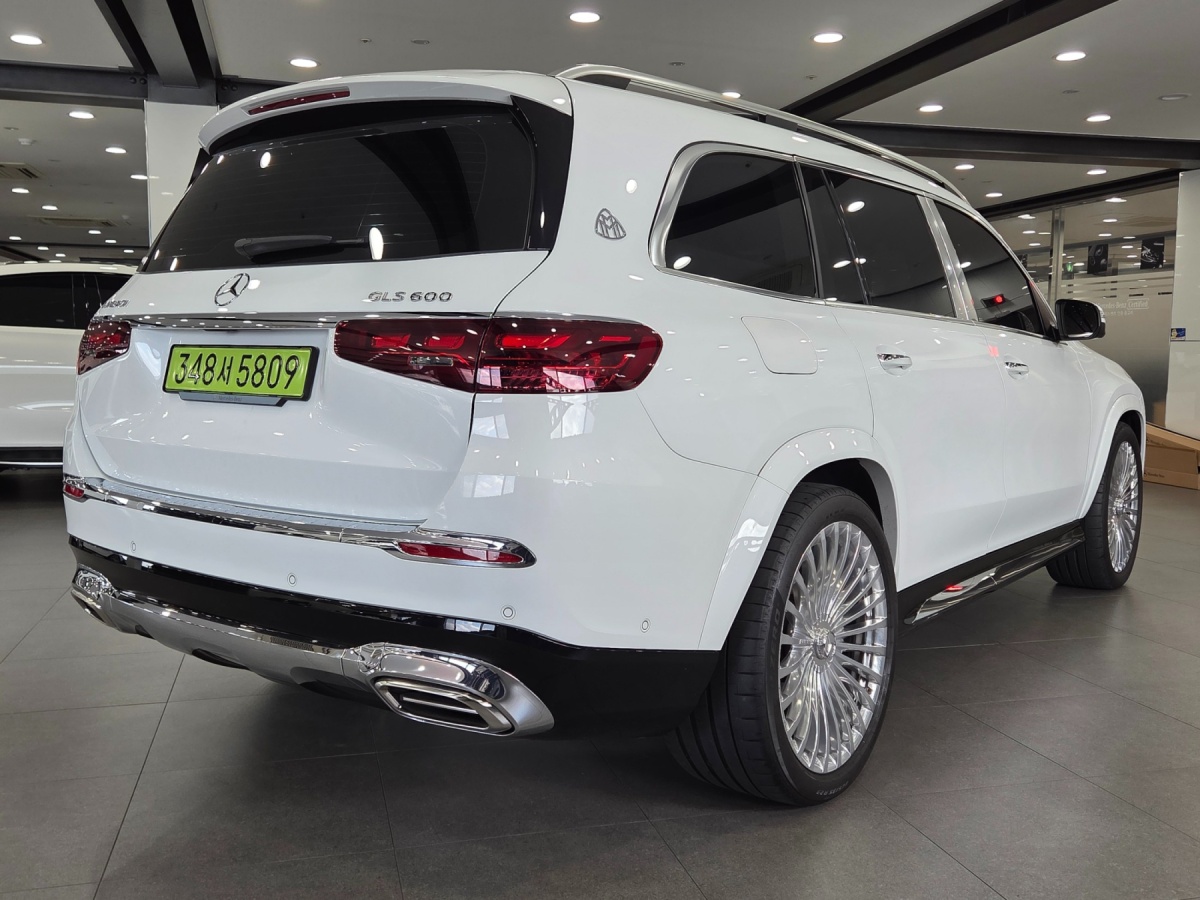 Mercedes-Benz GLS-Class, 2025 — фото 7 из 12