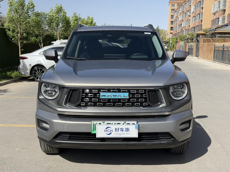 Haval H-Dog Hybrid, 2023 — фото 2 из 9