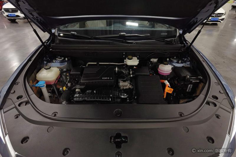 BYD Song Pro Hybrid, 2023 — фото 6 из 12