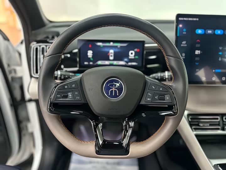 BYD Song Pro Hybrid, 2023 — фото 8 из 9