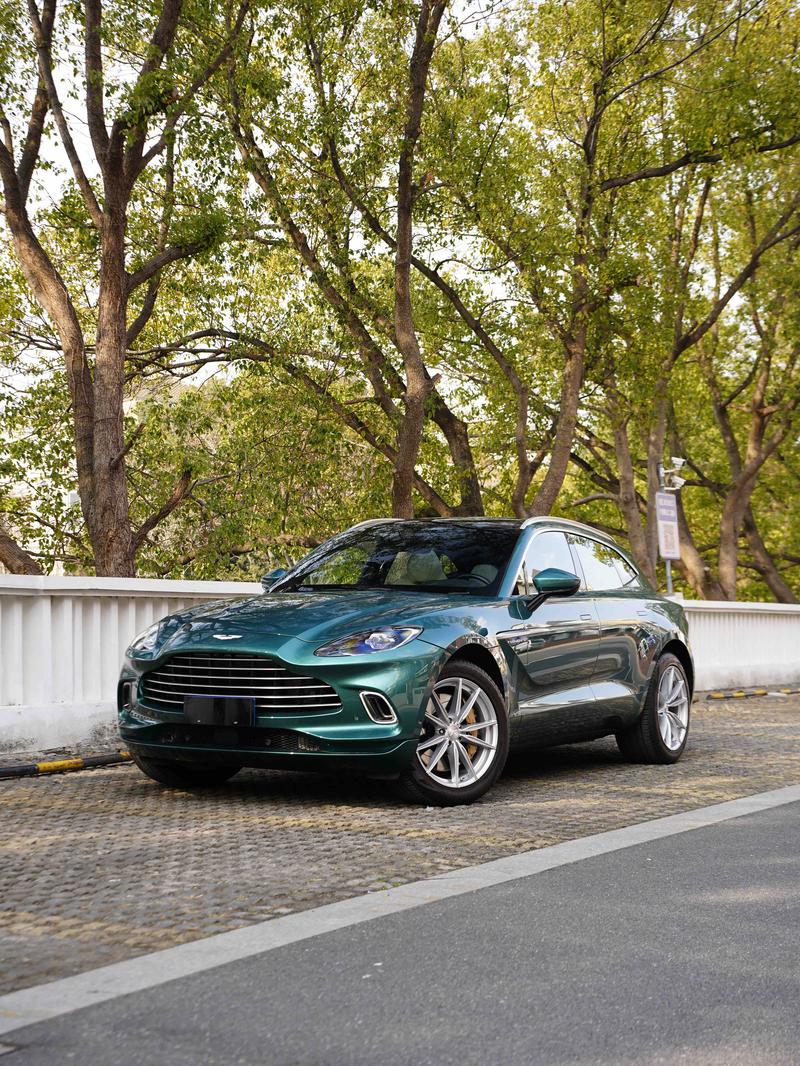 Aston Martin DBX, 2023 — купить в Уфе под ключ