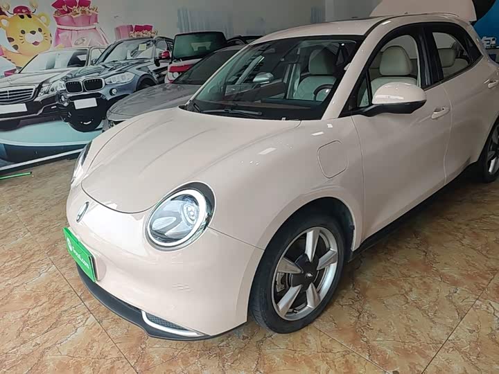 Ora Good Cat GT (03 GT), 2023 — купить в Рязани под ключ