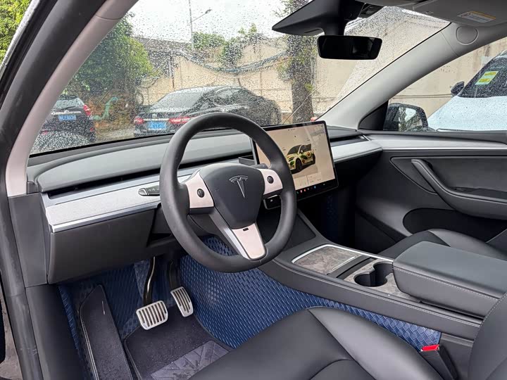 Tesla Model Y, 2021 — фото 9 из 9