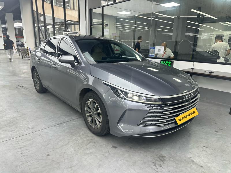 BYD Destroyer 05, 2024 — фото 3 из 11