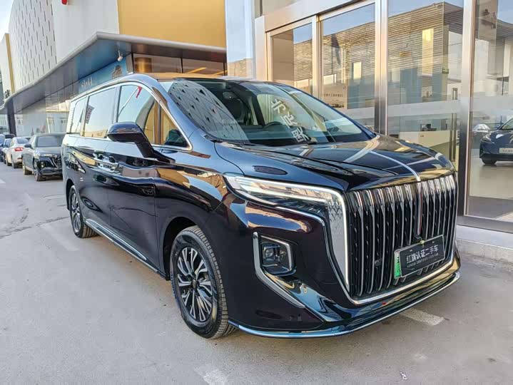Hongqi HQ9 Hybrid, 2024 — фото 3 из 9