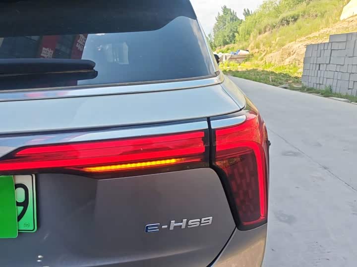 Hongqi E-HS9, 2023 — фото 8 из 9