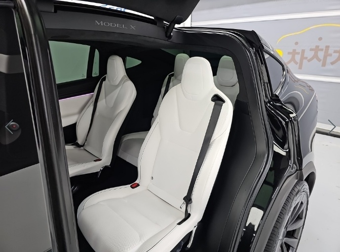 Tesla Model X, 2023 — фото 11 из 12