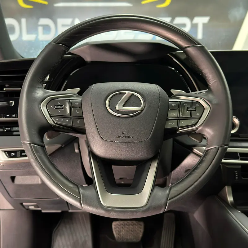 Lexus RX-Series, 2024 — фото 6 из 10