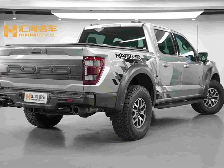 Ford F-150 Raptor, 2023 — фото 7 из 9