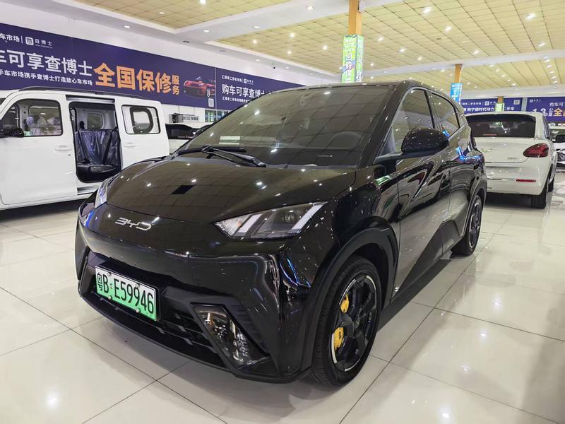 BYD Seagull, 2023 — купить в Туле под ключ