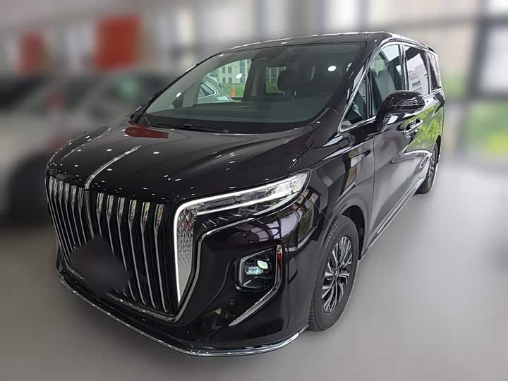 Hongqi HQ9 Hybrid, 2024 — фото 3 из 9