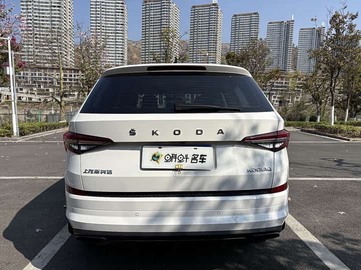 Skoda Kodiaq, 2024 — фото 5 из 9
