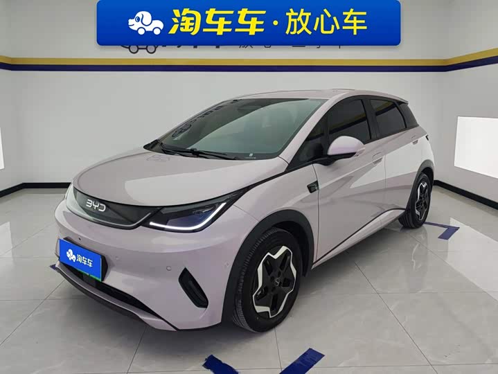 BYD Dolphin, 2025 — купить в Тамбове под ключ
