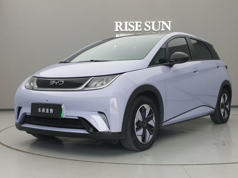 BYD Dolphin, 2024 — купить в Саранске под ключ