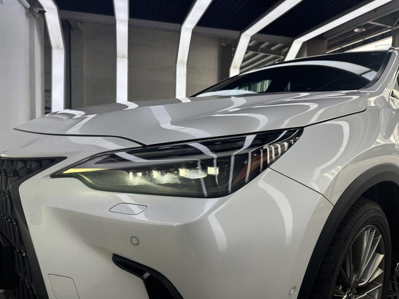 Lexus NX Hybrid, 2021 — фото 7 из 12