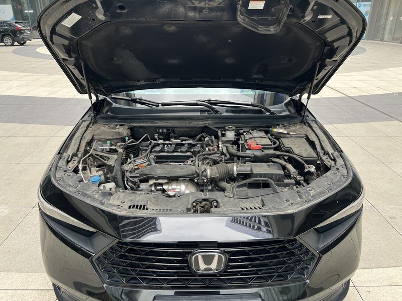 Honda Accord, 2024 — фото 9 из 12